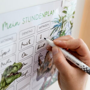 Stundenplan mit Dino, Sticky Wall Planner, Selbstklebender Stundenplan, nachhaltiger Stundenplan, wiederverwendbar